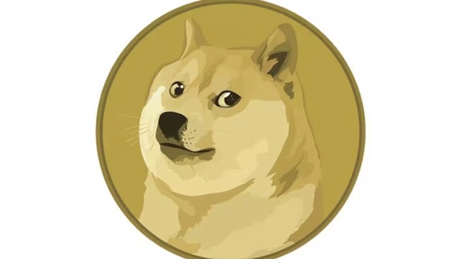 Shiba Inu, yang kini jadi logo baru Twitter usai sebelumnya Doge Coin, punya riwayat pengerdilan akibat ulah manusia. Simak sejarahnya di sini.