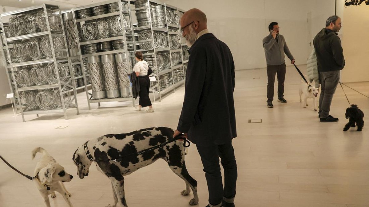 FOTO: Menikmati Museum Date Bareng 'Anabul' di Yunani