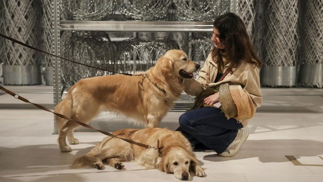 FOTO: Menikmati Museum Date Bareng 'Anabul' di Yunani