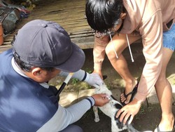 Awal Bulan, Kasus Rabies di Jembrana Bertambah
