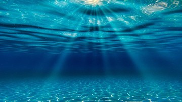 KOMPLIKASI HINGGA CARA MENGHILANGKAN KETAKUTAN PADA LAUT