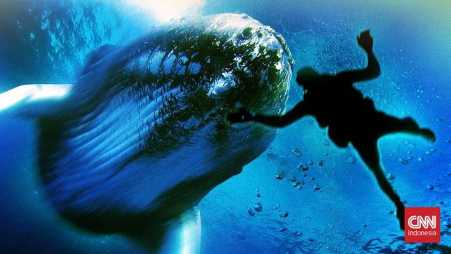 Mukjizat Nabi Yunus yang populer adalah masih bisa selamat meski berhari-hari di dalam perut ikan paus. Hal ini tentu terjadi atas kehendak Allah SWT.