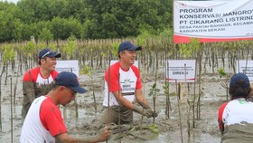 Cikarang Listrindo Tingkatkan Akuntabilitas Laporan Keberlanjutan 2022