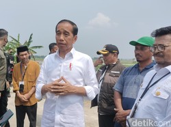 Tanam Padi di Tuban, Jokowi Apresiasi Petani Pakai Pupuk Organik