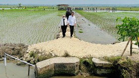 Jokowi Jelaskan Alasan RI Impor Beras 2 Juta Ton: Bakal Ada El Nino
