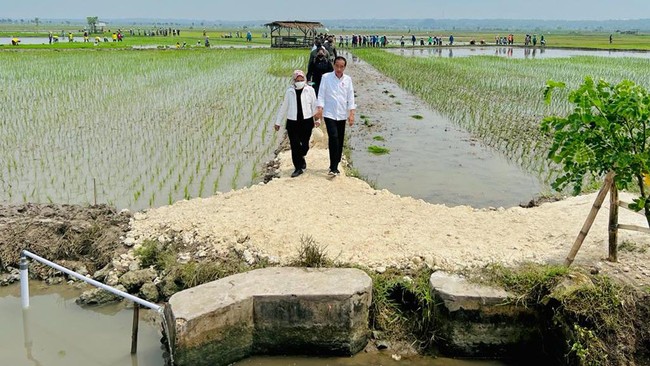 Presiden Joko Widodo (Jokowi) mengungkapkan rencana impor dua juta ton beras tahun ini untuk mengantisipasi el nino.
