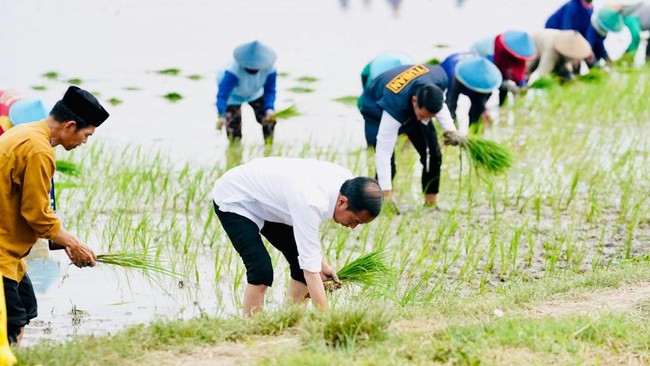 Presiden Joko Widodo mewanti-wanti 345 juta orang di dunia terancam kelaparan buntut krisis pangan. Menurutnya, saat ini sektor pertanian sangat rawan.
