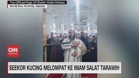 VIDEO: Seekor Kucing Melompat ke Imam Salat Tarawih