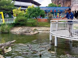Predator Fun Park Kota Batu Akan Tutup Besok