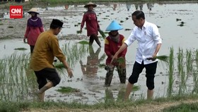 VIDEO: Alasan Jokowi Dorong Para Petani Pakai Pupuk Organik