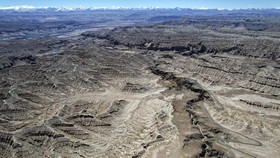 FOTO: Pesona 'Pohon-pohon' Berbatu di Zanda Earth Forest Tibet