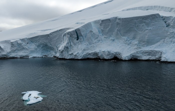 ANTARCTICA - FEBRUARY 24: An aerial view of crabeater seals laying on ice berg on Horseshoe Island as Turkish scientists conduct fieldwork on Horseshoe Island within 7th National Antarctic Science Expedition under the coordination of the Scientific and Technological Research Council of Turkiye (TUBITAK) MAM Polar Research Institute with the joint responsibilities of the Turkish Presidency and Turkish Ministry of Industry and Technology in Antarctica, on February 24, 2023. Turkish Scientists, left a minimum footprint on Antarctica, 
