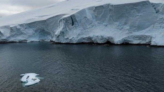 ANTARCTICA - FEBRUARY 24: An aerial view of crabeater seals laying on ice berg on Horseshoe Island as Turkish scientists conduct fieldwork on Horseshoe Island within 7th National Antarctic Science Expedition under the coordination of the Scientific and Technological Research Council of Turkiye (TUBITAK) MAM Polar Research Institute with the joint responsibilities of the Turkish Presidency and Turkish Ministry of Industry and Technology in Antarctica, on February 24, 2023. Turkish Scientists, left a minimum footprint on Antarctica, 