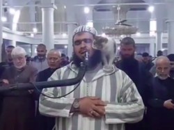 Gemasnya Kucing di Pundak Imam Salat, RK Kunjungi Rumah Viral