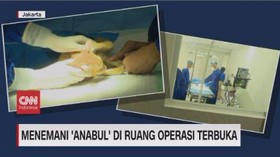 VIDEO: Fasilitas Mewah untuk Hewan Peliharaan Bersama Pemilik