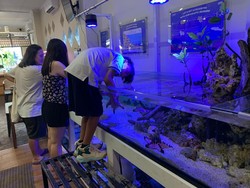 Jajal Wisata Edukasi Biota Laut Lewat Wahana Touch Pool, Ajak Si Kecil Yuk!