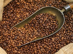 RI Mau Ekspor Kopi 950 Ton ke Mesir