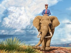 Jokowi di Antara Koalisi Besar dan PDI Perjuangan