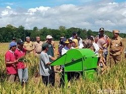 Mentan Syahrul Panen Padi IP 400 di Trucuk Klaten, Petani Sambat Irigasi