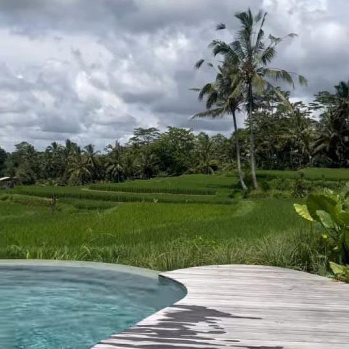 <p>Vila yang tampak asri itu ternyata memiliki konsep yang berbeda dari vila Titi dan Tian yang sebelumnya. Sebelumnya mereka memilih konsep <em>tropical,</em> tetapi untuk vila baru ini, mereka memilih konsep <em>farmhouse</em>, Bunda. (Foto: Instagram@titi_kamall)</p>