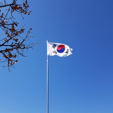 Serukan Kebebasan, Masyarakat Korea Selatan Gelar Aksi Solidaritas Dukung Palestina