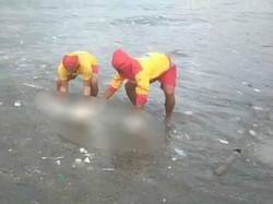 Mayat Tak Utuh Terdampar di Pantai Jerman, Diduga Laki-laki