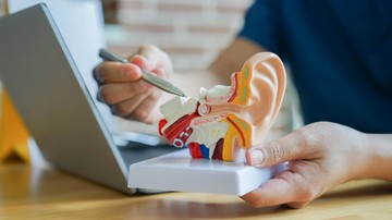 Fungsi Telinga dan Tips Merawatnya agar Tetap Sehat