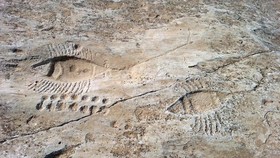 Gambar Purba Misterius di Gurun Qatar, Cek Deret Teori soal Fungsinya