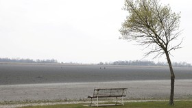 FOTO: Danau Kering di Austria Jadi Saksi Bumi Kian Panas