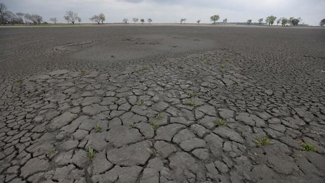 Tahun 2024 diprediksi lebih panas dibanding tahun 2023. Hal ini terjadi akibat pengaruh El Nino.