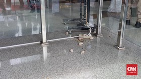 Ratusan Pedemo Lepaskan Tikus dan Lemparkan Telur ke Gedung KPK