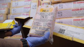 18 Ribu Ton Daging Kerbau Impor Asal India Banjiri RI Jelang Lebaran