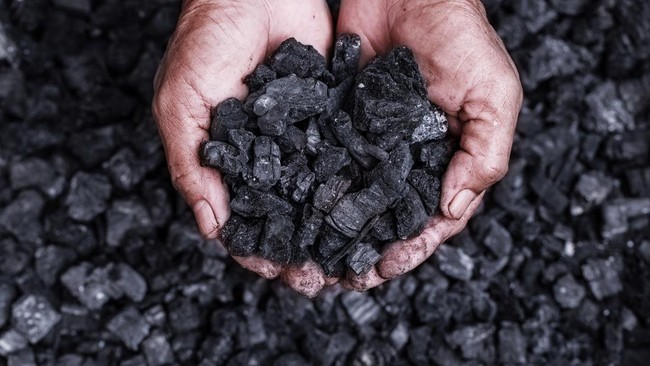 Uni Eropa menjadi salah satu dari lima importir batu bara terbesar di dunia setelah China, India, Jepang dan Korea Selatan.