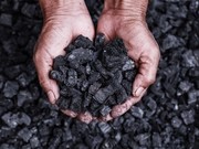 ESDM Sebut China Bisa Swasembada Pangan Gara-gara Batu Bara RI