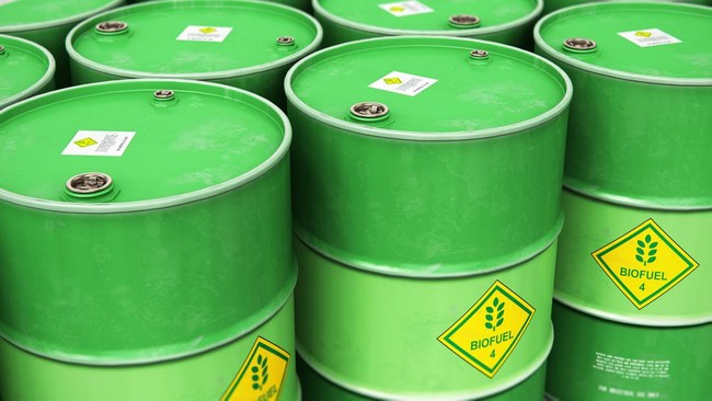 Ilustrasi biofuel