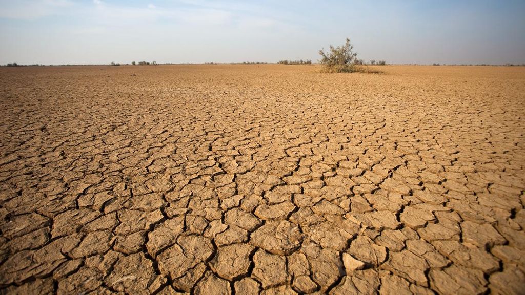 Prediksi Kemarau Panjang, 410 Ribu KK di Jatim Terancam Kekeringan