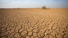 BMKG Prediksi Juni Jadi Awal Kemarau Panjang Tanpa El Nino