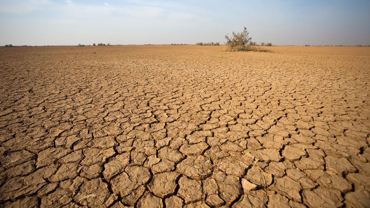 Studi Terbaru Sebut Kekeringan Bikin Bakteri Makin Kebal Antibiotik