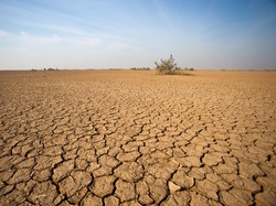 Pakar BRIN Sebut Super El Nino, El Nino 2026 Diprediksi Mengganas