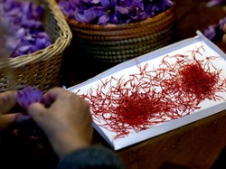 Begini Cara Menyeduh Saffron yang Benar agar Hasilnya Maksimal
