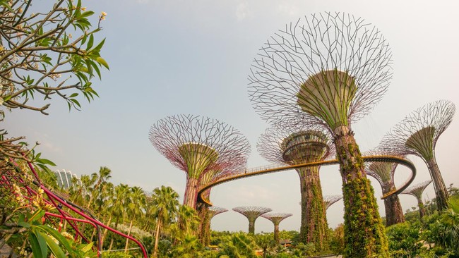 Gardens by the Bay Singapura Sabet Gelar Destinasi Terbaik Asia 2026