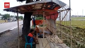 VIDEO: Jelang Arus Mudik, Warga Di Pantura Mulai Bangun Warung Musiman