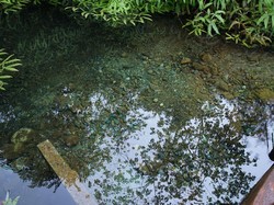 Menakar Kualitas Air di Pulau Terpencil yang Kaya Nikel
