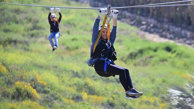 FOTO: Memacu Adrenalin di Atas Hamparan Bunga Liar California