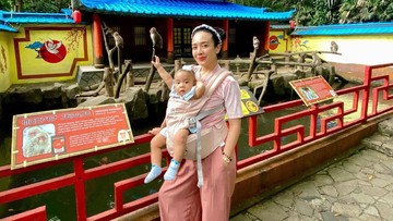 PAMER POSTPARTUM BODY