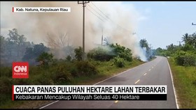 VIDEO: Cuaca Panas, 40 Hektar Lahan Terbakar di Natuna