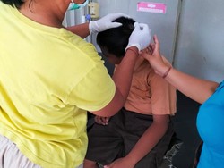 Tawon Hitam Serang SDN 2 Culik, Siswa Dilarikan ke Puskesmas