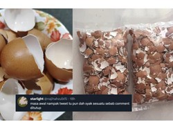 Viral Cuitan Cangkang Telur Bisa Dijual Mahal, Ternyata Tipuan Belaka