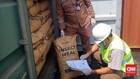 Sumut Ekspor Tepung Larva Kali Pertama, Beratnya Hingga 17,8 Ton