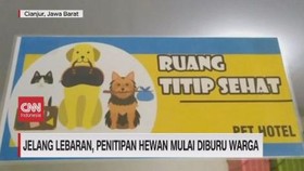 VIDEO: Jelang Lebaran, Penitipan Hewan Mulai Diburu Warga